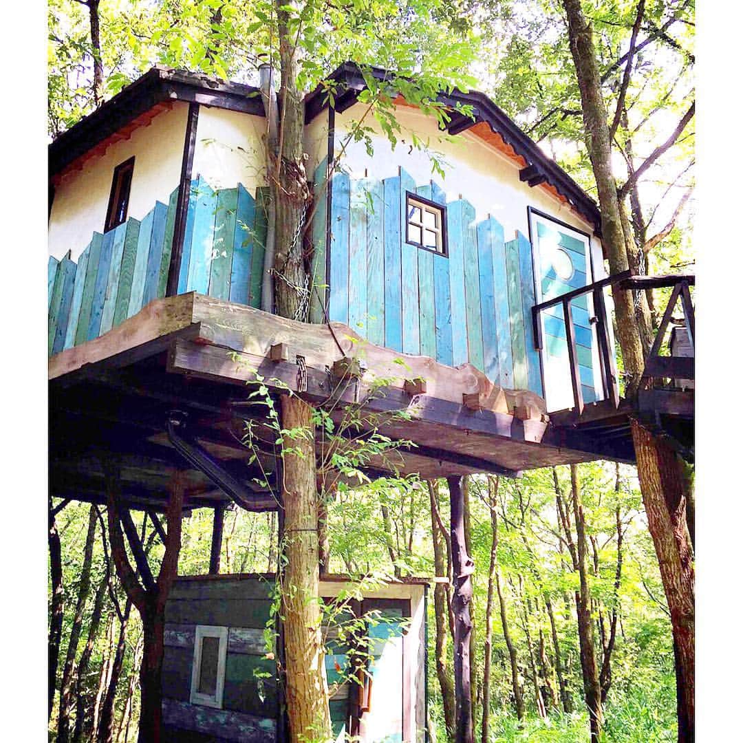 ZERO-CUBE+FUNのグルメインスタ