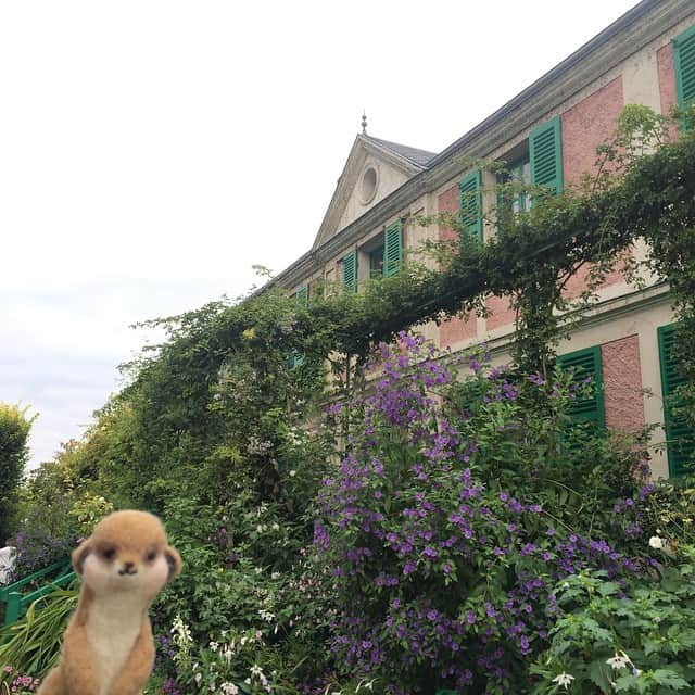 アニマミーア編集部のインスタグラム：「ボンジュール！みやたのフランス旅行記だよ。今日はモネさんの家に来ました。お花が素敵〜🎵 #アニマミーア」