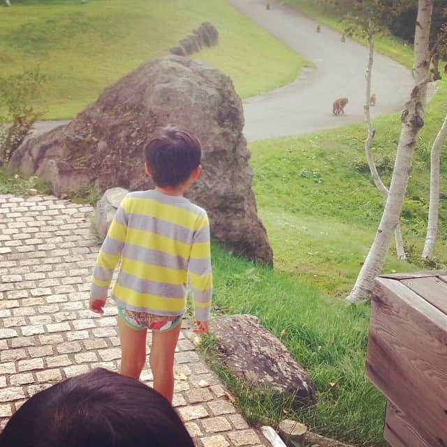 のインスタグラム：「お猿さん見〜つけた🐒」