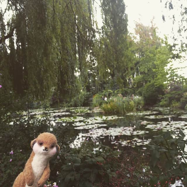 アニマミーア編集部さんのインスタグラム写真 - (アニマミーア編集部Instagram)「モネさんの家の池だよ〜。ここであの有名な睡蓮の絵が描かれたんだって。 #アニマミーア」9月22日 1時14分 - animamiainfo