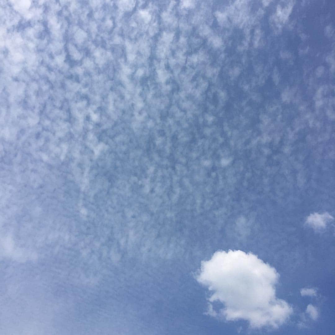 倉花千夏さんのインスタグラム写真 - (倉花千夏Instagram)「連休も終了ですね…」9月23日 18時29分 - kurahana.staff