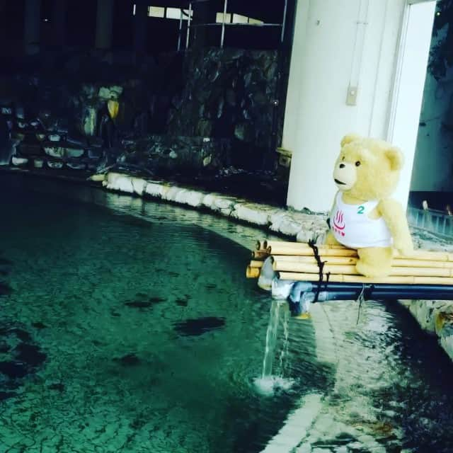 テッドのインスタグラム：「中年は温泉がお好き。 #テッド #Flixel」