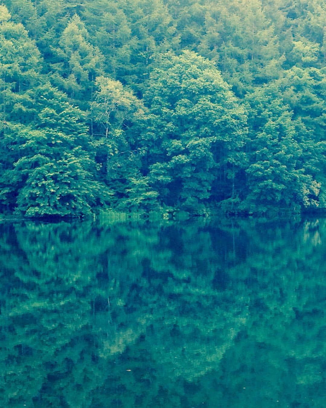 原田マハのインスタグラム：「Mishagaike pond that was painted by Kaii Higashiyama, Tateshina, Japan.」