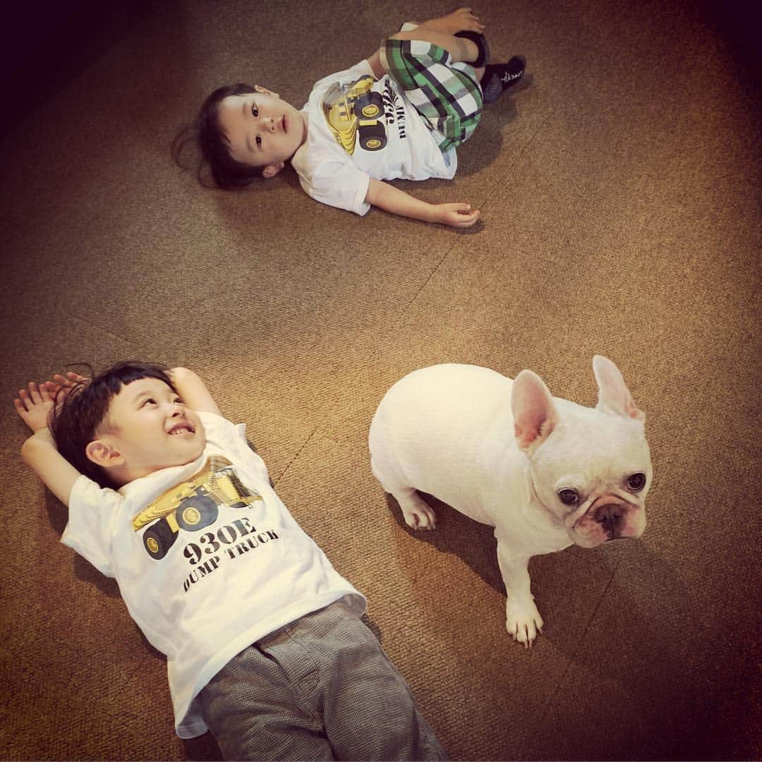 ムーとたすくのインスタグラム：「むーさんの右目👀だいぶ治ってきました✨まだ浮腫があるので再発の可能性もあり…引き続き点眼治療頑張ります！💪🏼😤」