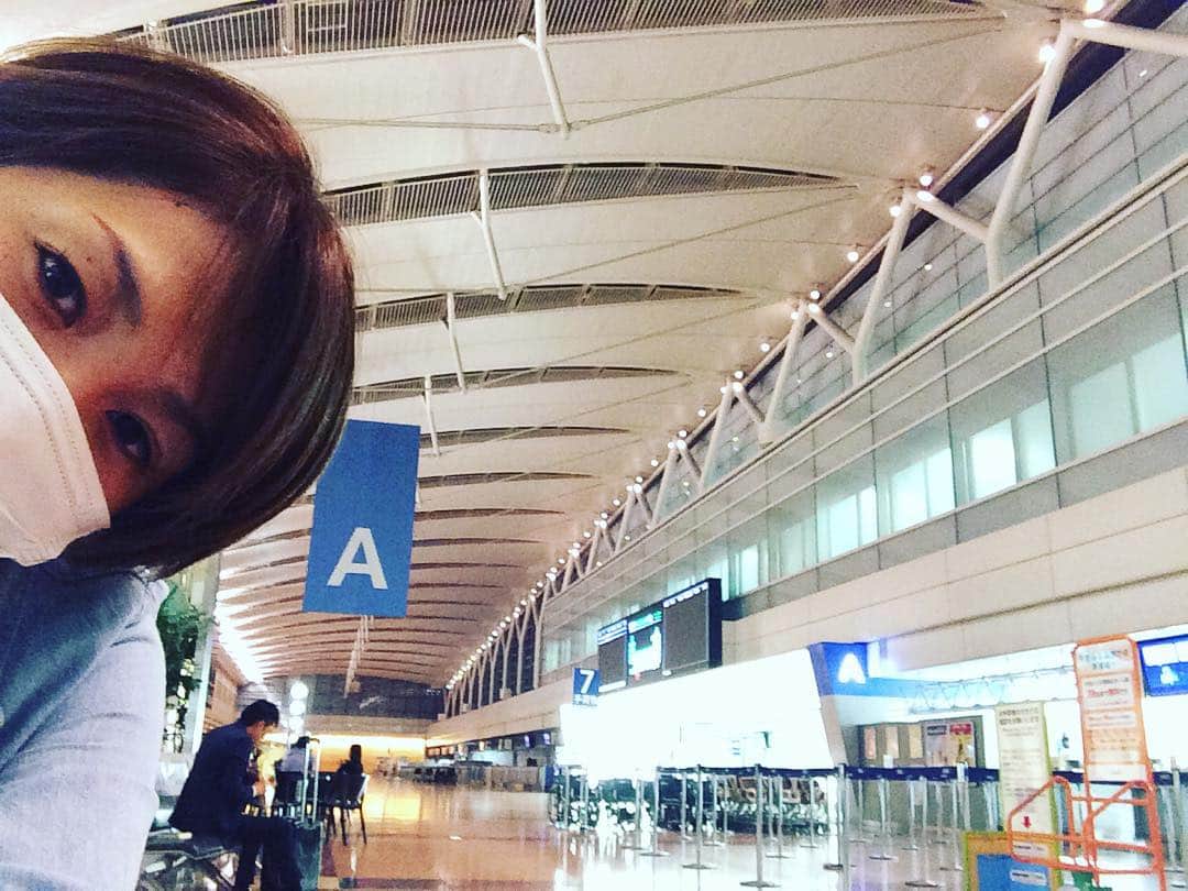 高橋みゆきのインスタグラム：「明日の朝一の飛行機で大阪入りだったけど✈️台風きてるから最終で前入り〜✈️男子バレー見てたのに💨😣 #大阪 #ANA #空港人少なっ #男子バレー #エジプト戦 #気になってずっと携帯でチェック #なんとか3-1で勝って #フルセットまでいくなよ〜#私の今大会男子の注目選手 #石川選手 #上手いよ！」