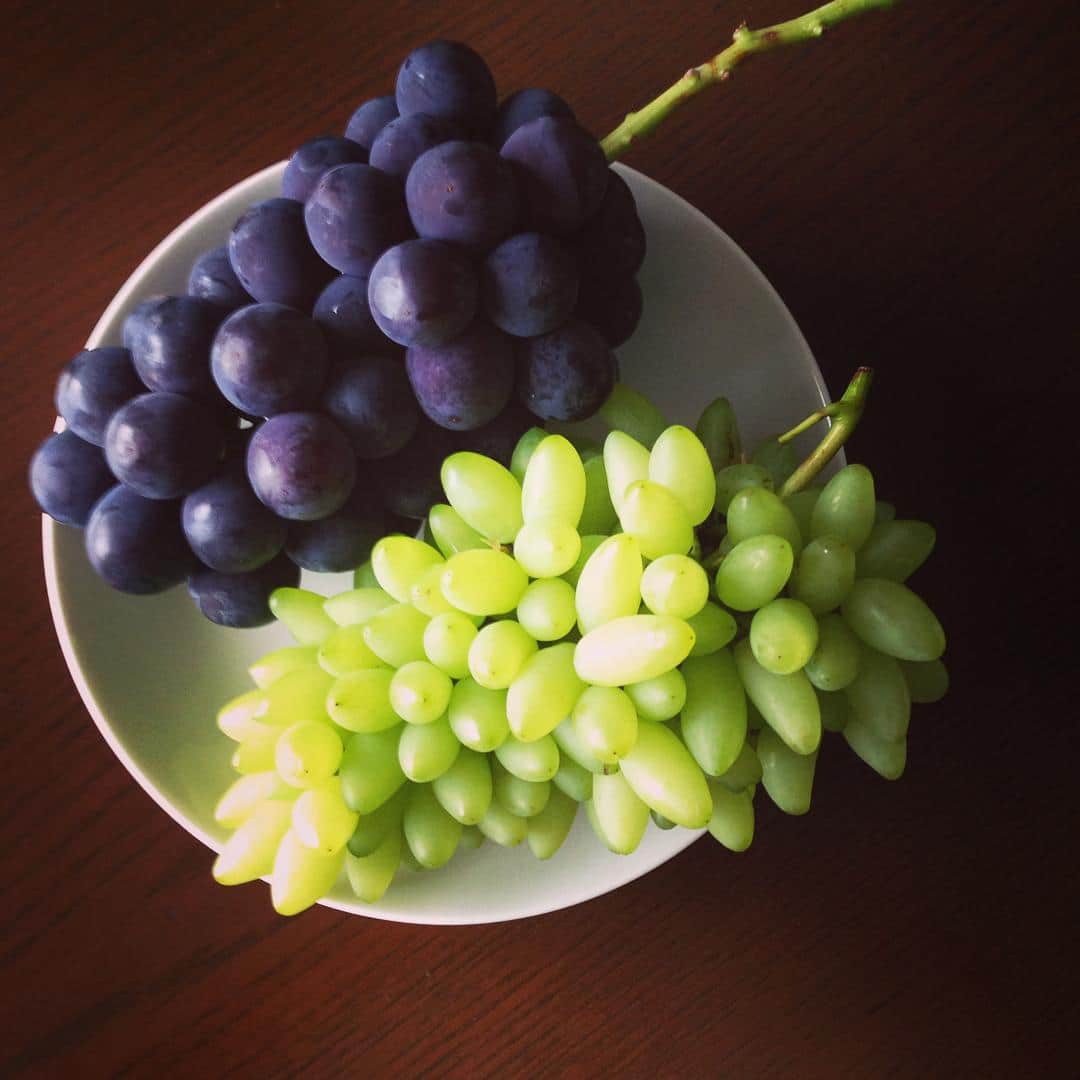志摩有子さんのインスタグラム写真 - (志摩有子Instagram)「朝からぶどう三昧で幸せ🍇 #GM #grape #ぶどう #ピオーネ #ピッテロビアンコ」9月9日 8時51分 - ariko418