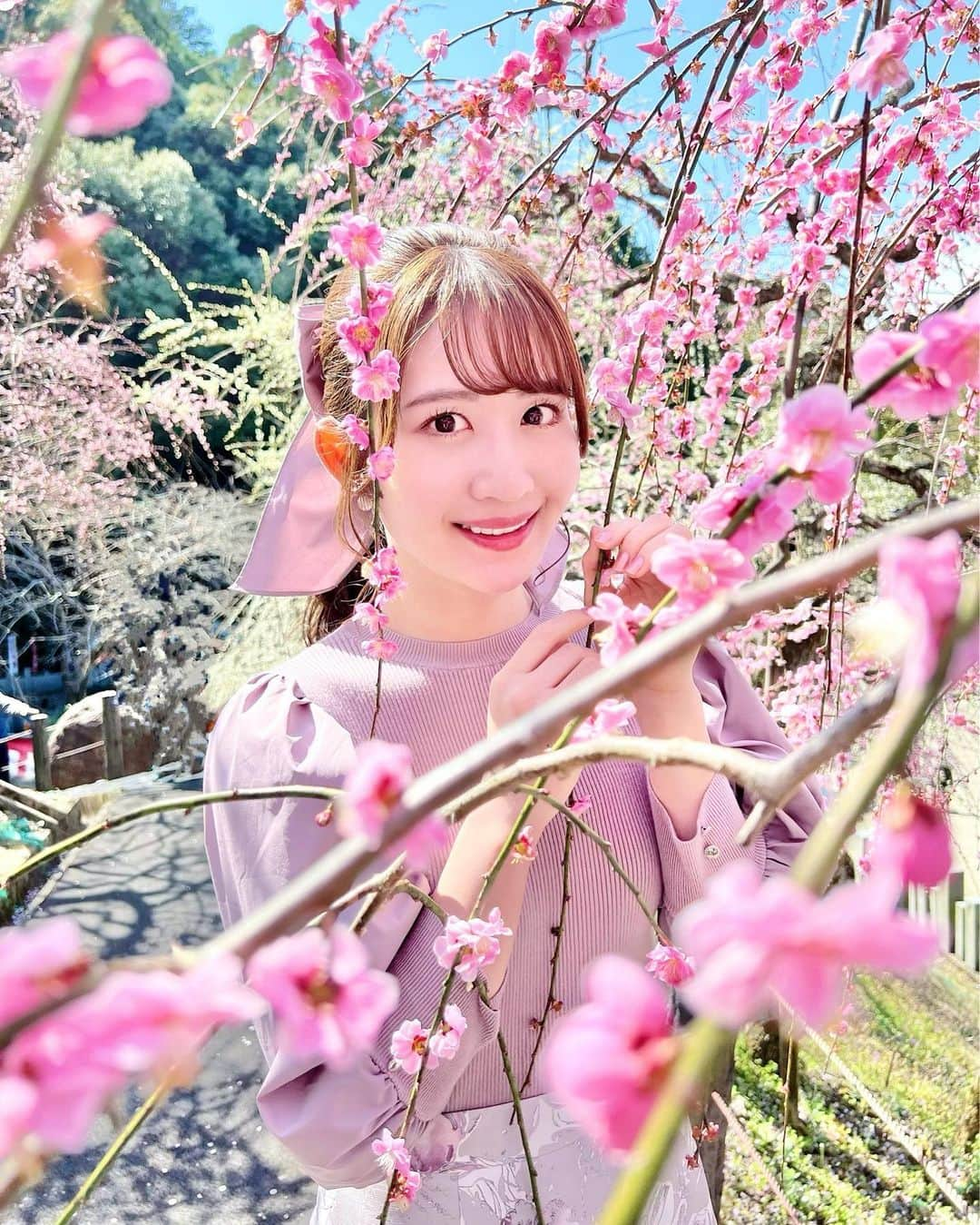 沢井里奈さんのインスタグラム写真 - (沢井里奈Instagram)「⠀ ⠀ 大縣神社の梅まつり🌸🌿 とっても綺麗で癒されました🥺💕💕 　 　 #大縣神社 #梅まつり #さわー神社巡り」3月20日 19時17分 - sawairina