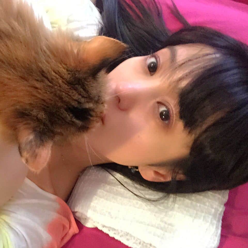 脊山麻理子さんのインスタグラム写真 - (脊山麻理子Instagram)「#点滴したら元気になった #みるくぽん #猫セラピー #lovecat #今日もありがとう」9月17日 12時01分 - mariko_seyama_milkpon