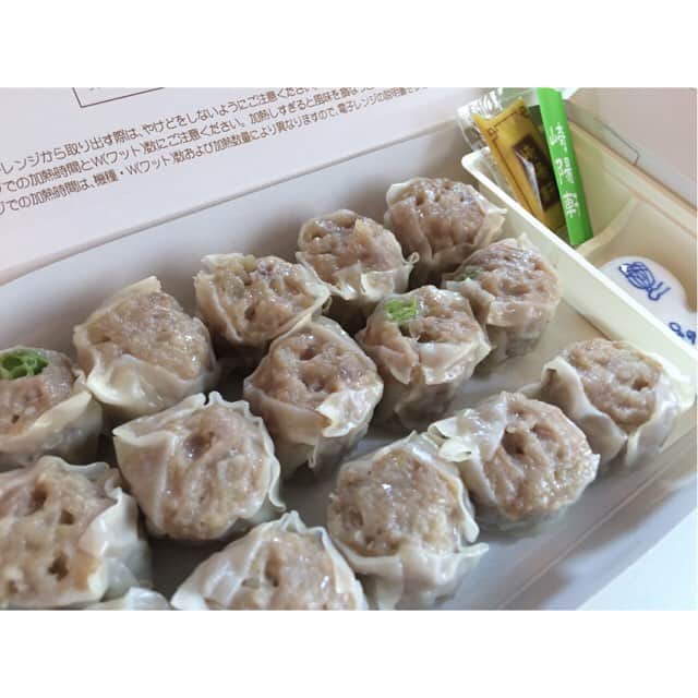 Washoku (和食) Japanese Foodのインスタグラム：「It's always nice to have snacks during a trip! Those "shumai" (pork dumplings) are a popular choice, and can be bought at many stations and airports in Japan. If you want to get those same ones, ask for "Kiyoken no shumai" at the station's shop!  Photo taken in the Shinkansen while travelling. http://washokuculture.com #japan #japanesefood #japanesefood #washoku #weird #nofilter #bento #shumai #shinkansen #ekiben #kiyoken #弁当 #駅弁 #和食 #崎陽軒」