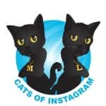 The Cats Of Instagramのインスタグラム