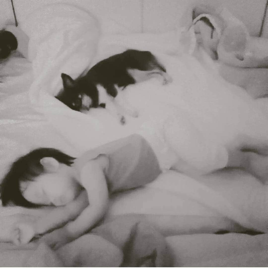 實藤友紀のインスタグラム：「#りん#あめ#ナイスコンビ#寝方も一緒 #おやすみ」