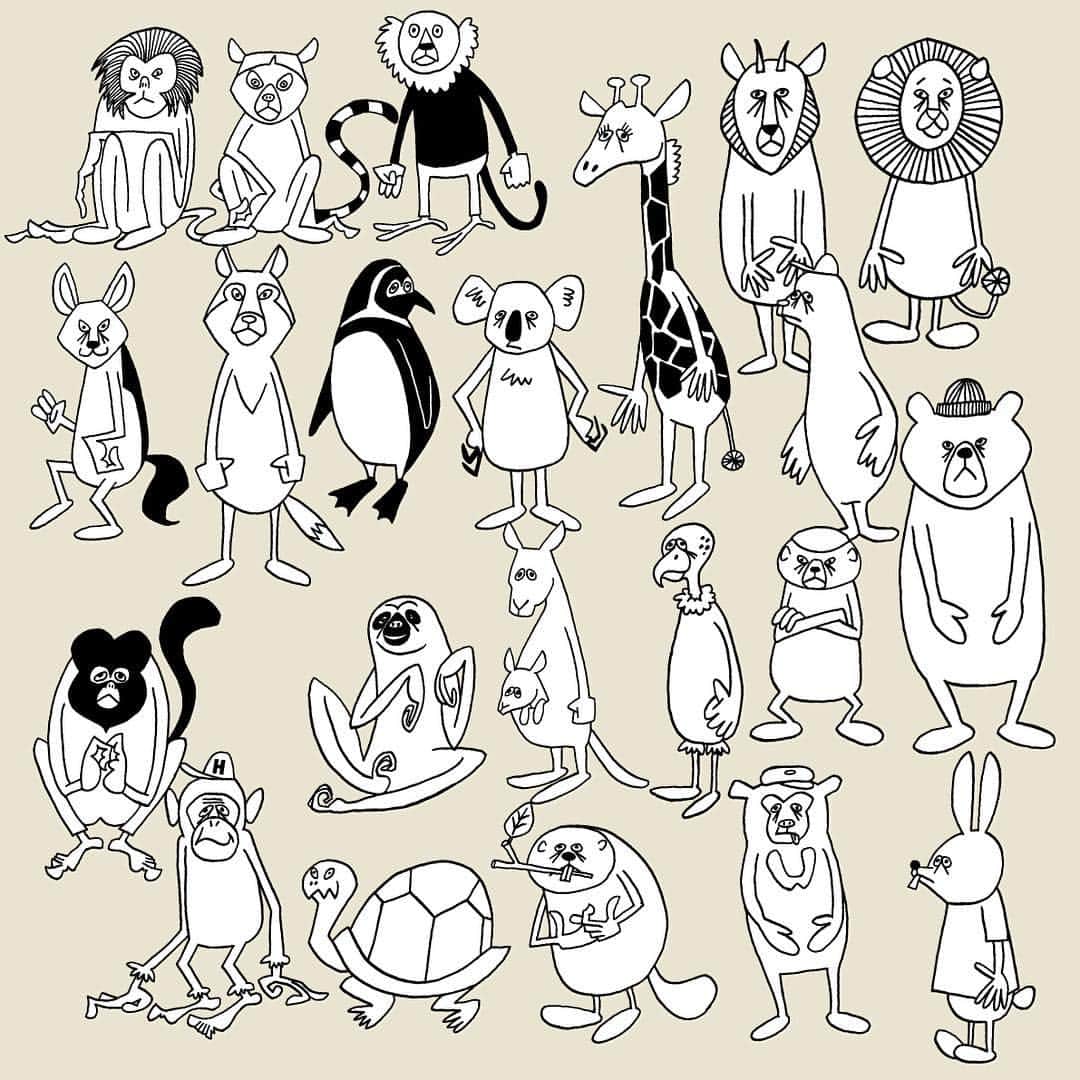 花井祐介さんのインスタグラム写真 - (花井祐介Instagram)「Monkeys giraffe seal bears turtle.... I keep drawing animals these days.  動物沢山描いてます」10月18日 14時36分 - hanaiyusuke