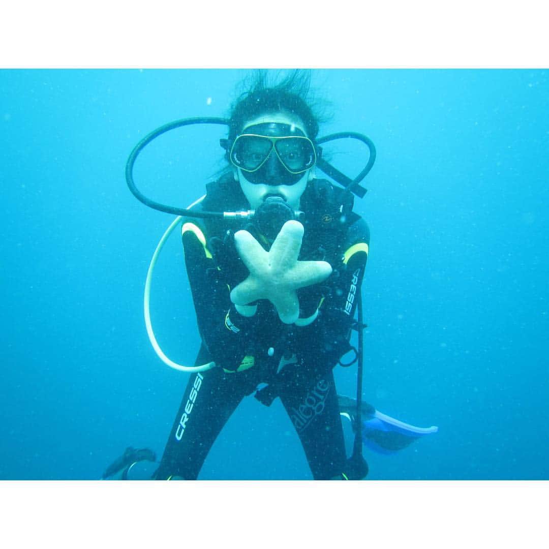 熊澤枝里子さんのインスタグラム写真 - (熊澤枝里子Instagram)「趣味人🌞  #スキューバダイビング #scubadiving  全く仕事に関係ない、これぞザ趣味だな。 毎度ビビるけど、本当に気持ち良くて楽しー！」9月25日 13時37分 - kumazawa_eriko
