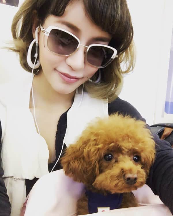 のインスタグラム：「モンブランと実家へ♡  #モンブラン#トイプードル#可愛い#ティーカッププードル#お出かけpoodle#cute#love#baby」