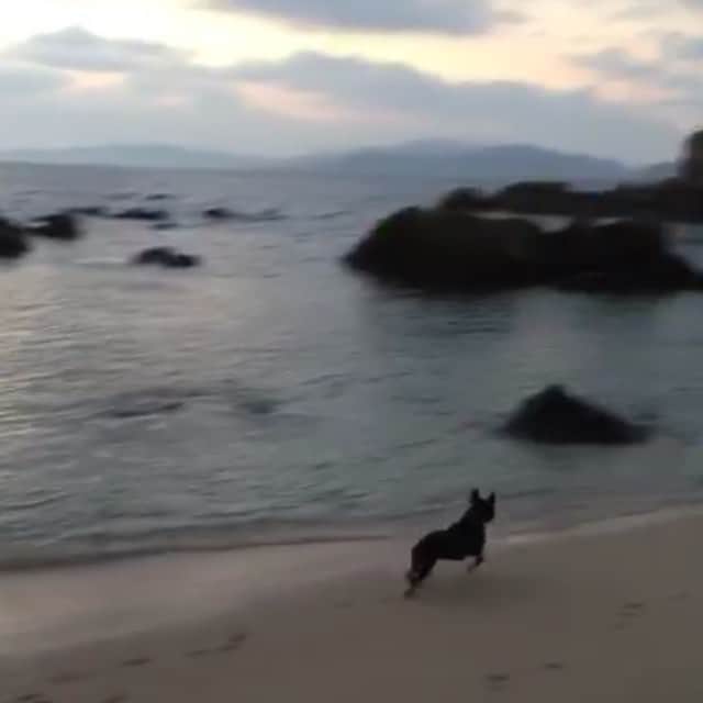 アンドレウ・フォンタスのインスタグラム：「Disfrutando del atardecer con mis amores @clarins_  y Bimba!! #galiciacalidade」