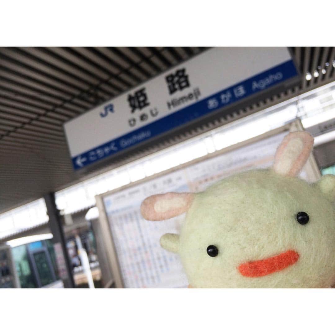 八木沙季さんのインスタグラム写真 - (八木沙季Instagram)「ひめじえき。」10月1日 12時31分 - upagi_official