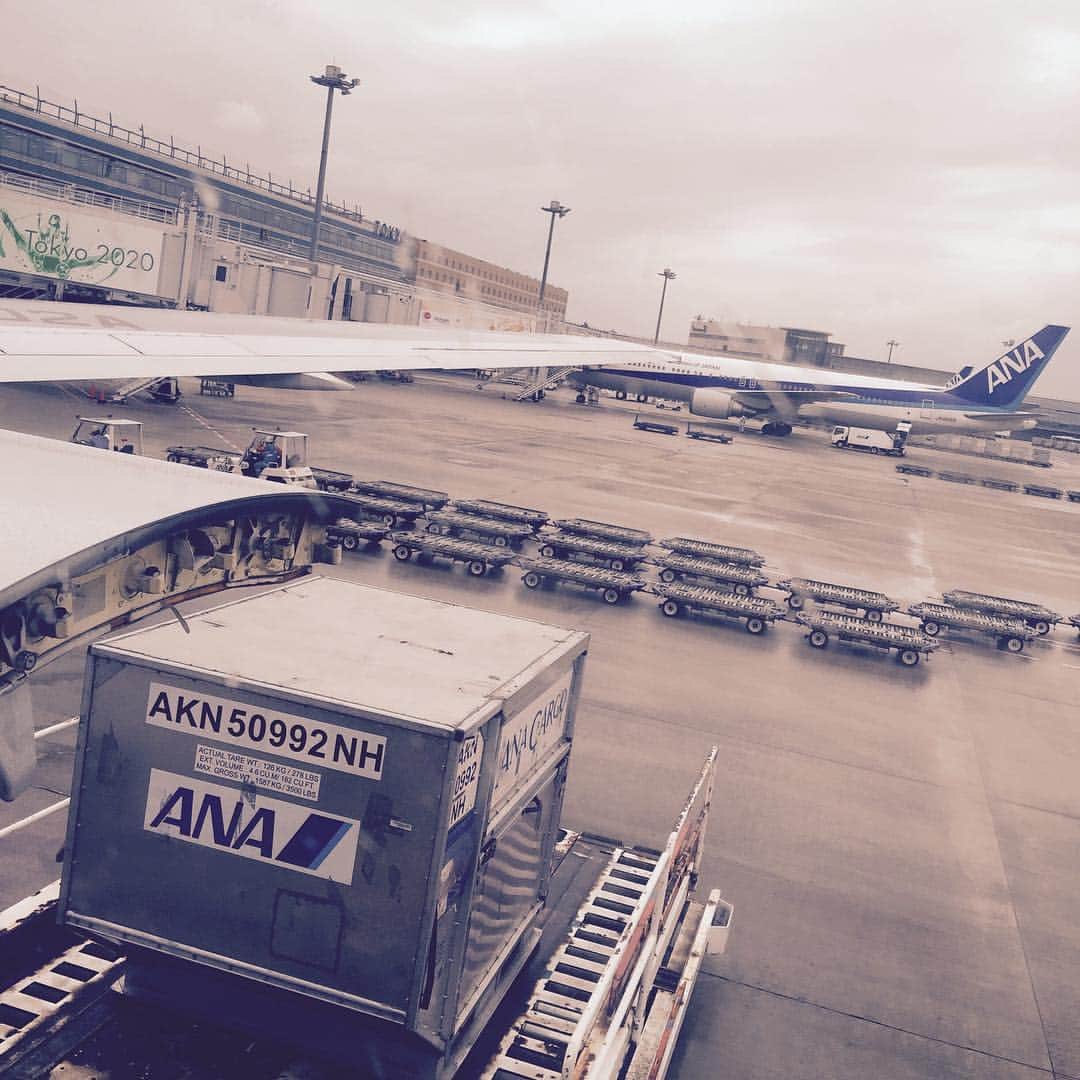 春原未来さんのインスタグラム写真 - (春原未来Instagram)「I♡Airplane.  #HND #羽田空港 #飛びます #爆弾低気圧 #そんな中でも目的地に無事到着しました！」10月1日 18時04分 - sunohara_miki