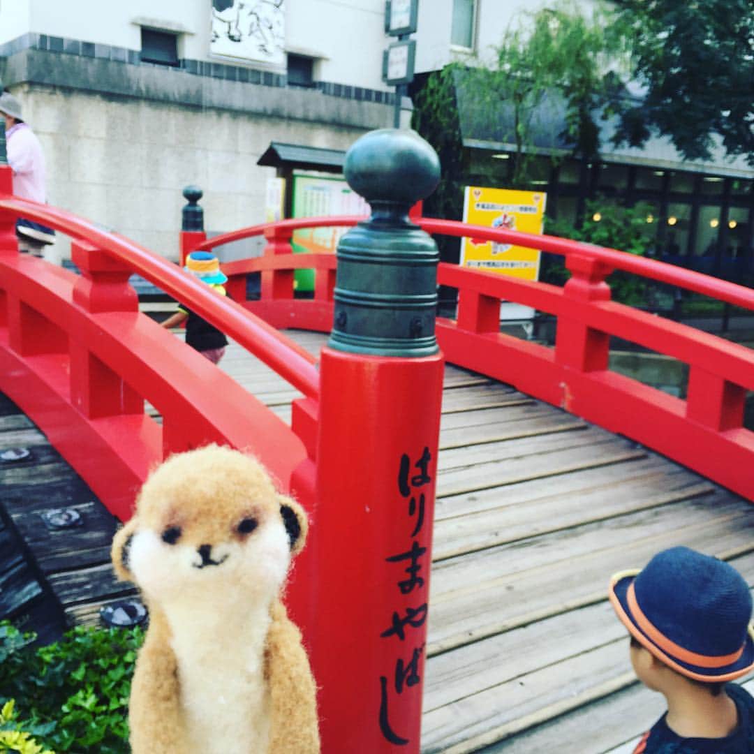 アニマミーア編集部さんのインスタグラム写真 - (アニマミーア編集部Instagram)「【みやたin高知】 やほ〜〜今日は、 はりまや橋まで来てみたよ！ #高知 #はりまや橋」10月5日 15時51分 - animamiainfo