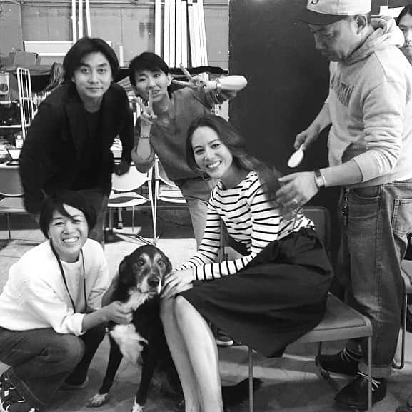早坂香須子さんのインスタグラム写真 - (早坂香須子Instagram)「お疲れ様でしたー！  カメラマン半沢健さんの愛犬、JOJOに癒やされた1日でした♡  #shoplist #cm #movie #dog」10月5日 17時59分 - kazukovalentine