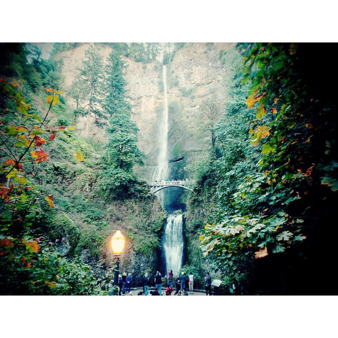 工藤万季さんのインスタグラム写真 - (工藤万季Instagram)「🍁Multnomath Faiis🍂 #multnomahfalls#oregon#portland#mounhood#hoodriver#travel #instatravel #travelgram #tourist #tourism #vacation #getaway #traveling #trip #vacation　#ilovetravel #jetsetter #visit #view #traveling #visiting #instago #holiday #fun #instatraveling #igtravel #travelling #travelpics #passportready #travelblogger #instavacation」10月5日 22時11分 - makikudooo