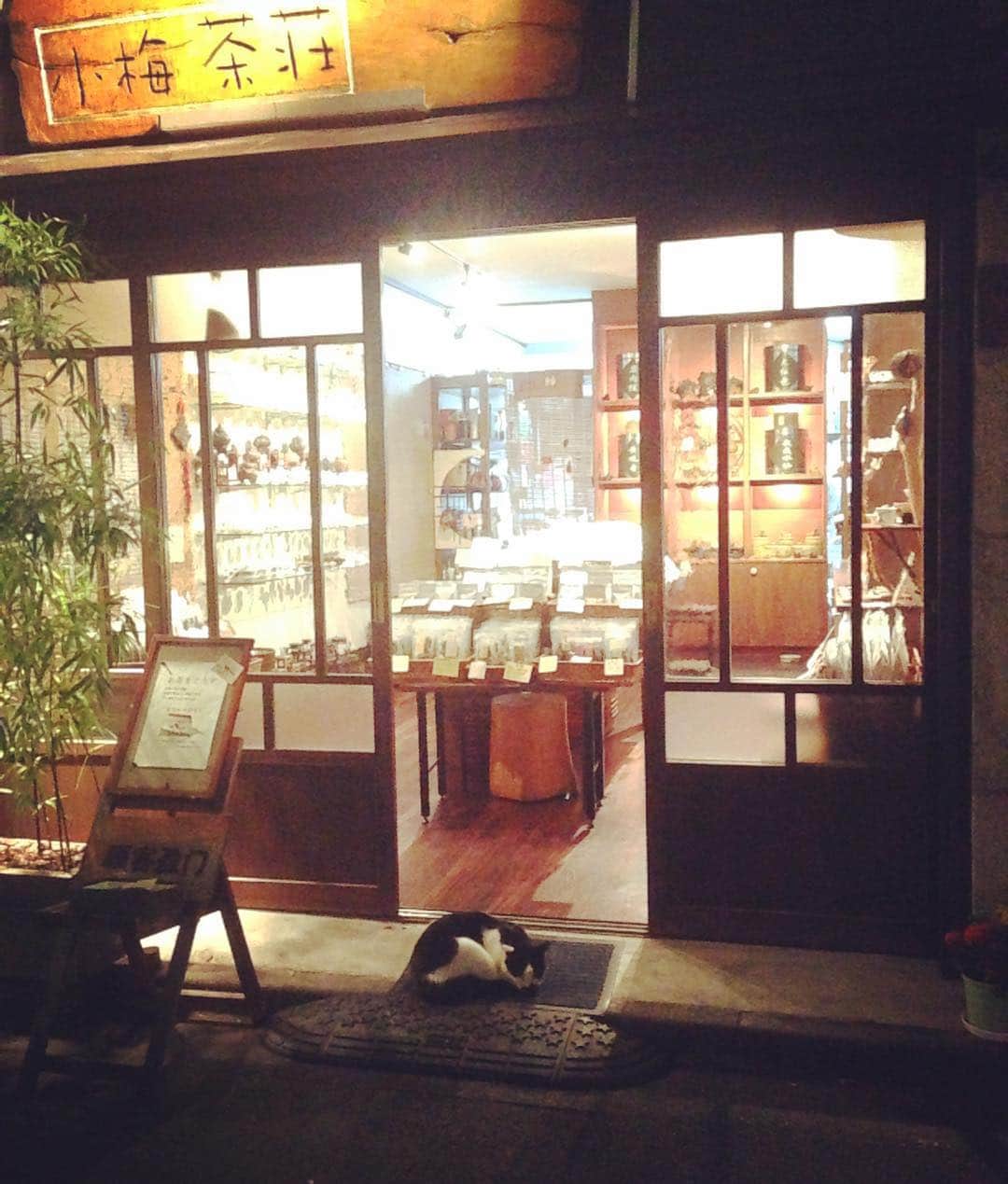 猫沢エミさんのインスタグラム写真 - (猫沢エミInstagram)「昨日のワンショット。中国茶と茶器のお店・人形町 小梅茶荘の前に、見事な感情で白黒の猫が丸くなっていた。中国茶の基礎知識やお作法を丁寧に教えてくれる良きお店です。  #東京下町時間」10月6日 10時18分 - necozawaemi