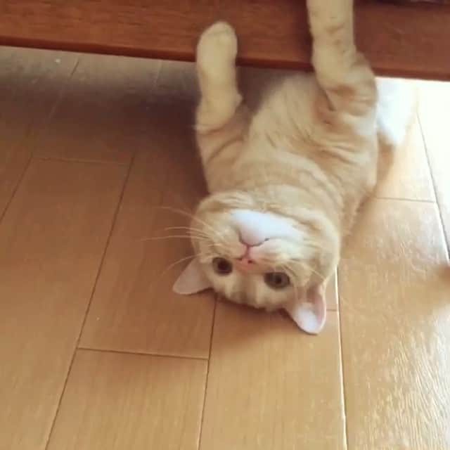 ぷーのインスタグラム