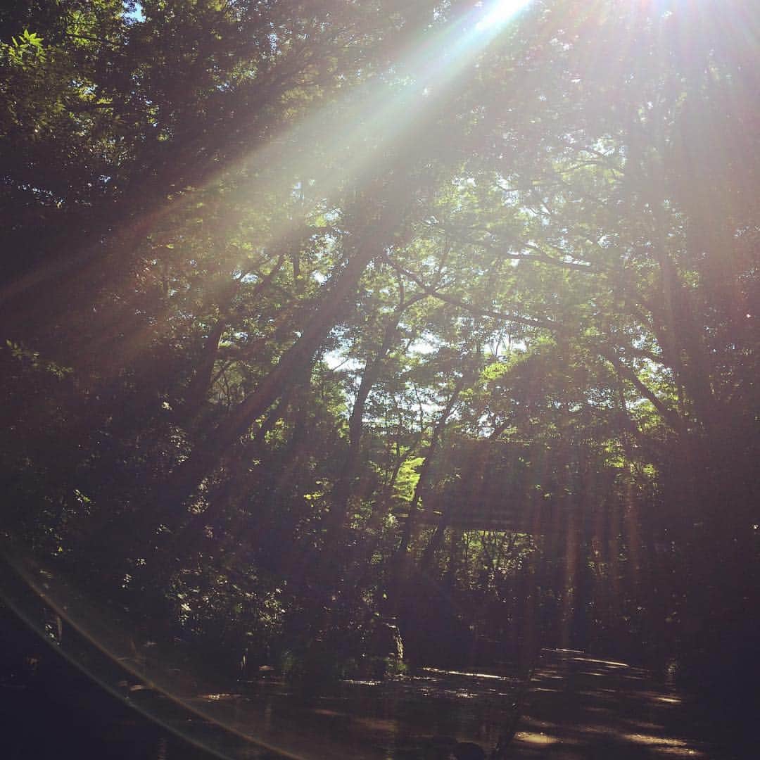 真木よう子さんのインスタグラム写真 - (真木よう子Instagram)10月8日 15時26分 - yokomaki_official