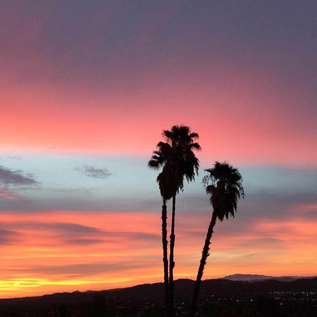 デニス・ミラーニのインスタグラム：「My view this morning!❤️😍 🌴 #California #beautiful #sky」