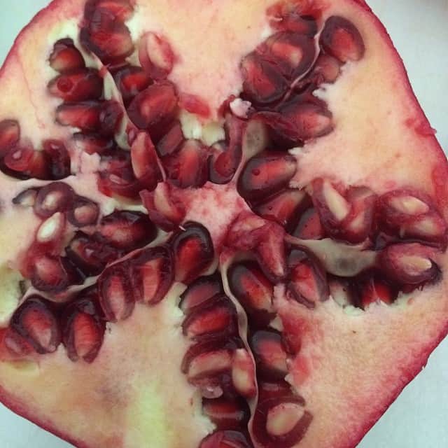 マッケンジー・フォイさんのインスタグラム写真 - (マッケンジー・フォイInstagram)「Pomegranates are so pretty!!」10月10日 4時24分 - mackenziefoy