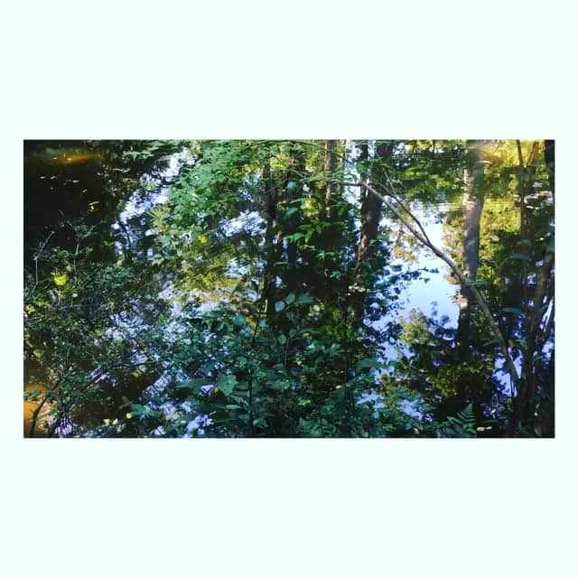霧島れいかのインスタグラム：「Ise Shrine  #Ise #shrine #green #japan」