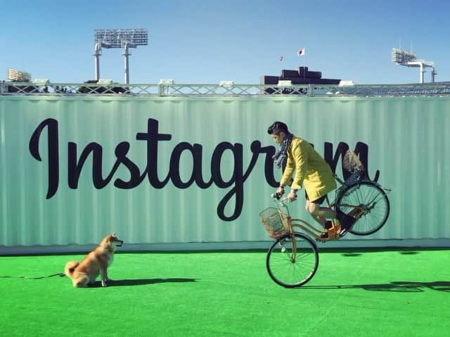 Najiiのインスタグラム：「my first boomerang with @marutaro 🐶  @mamotoraman 🚲 #WHPboomerang」