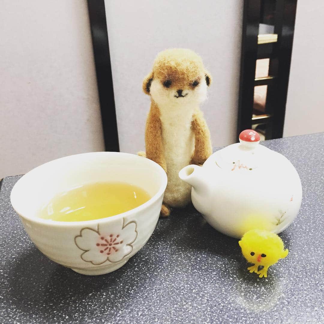 アニマミーア編集部さんのインスタグラム写真 - (アニマミーア編集部Instagram)「ゆううつな月曜日。 ひとまず茶〜でも飲んで一息つきませんか？ #月曜日 #みやた #ティータイム」10月26日 13時56分 - animamiainfo