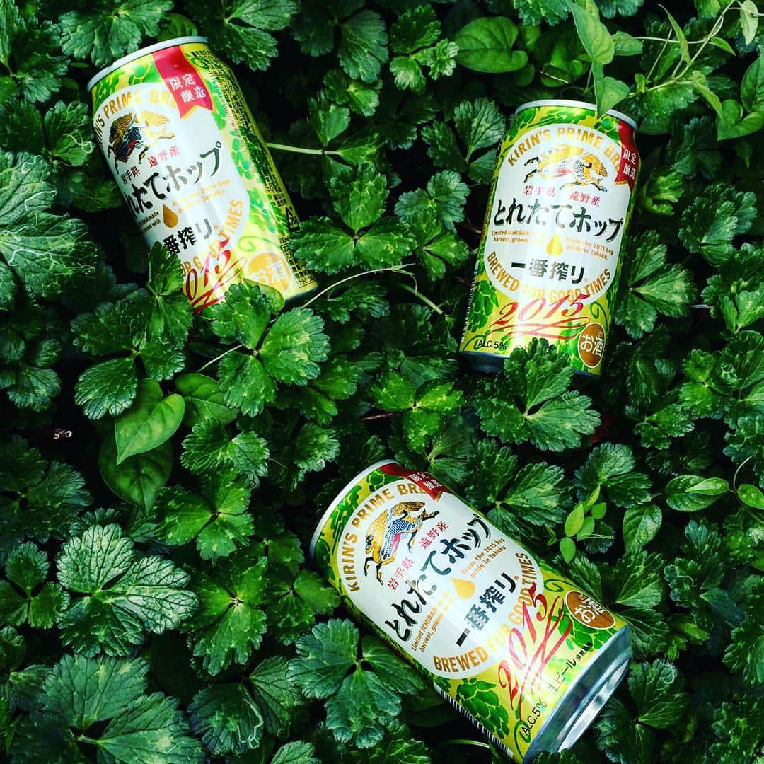 キリン一番搾り生ビールさんのインスタグラム写真 - (キリン一番搾り生ビールInstagram)「#まいにちとれたて  今しか飲めない「一番搾り とれたてホップ生ビール」が今年も登場！ 「撮れたて写真投稿キャンペーン」  Twitter又はInstagramで「@ichiban_cp」をフォローして、 「一番搾り とれたてホップ生ビール」を楽しむ姿をハッシュタグ[#まいにちとれたて]をつけて投稿しよう。  抽選で30名様に、キリンクリアファイル・ホップを含む一番搾り文具一式（5点）と、一番搾り350ml 6缶パックをセットでプレゼント！  キャンペーン期間 2015年10月27日（火）～11月30日（月）24:00 https://kanpaiforhappiness.com/happyshare/toretatehop/」10月26日 16時02分 - ichiban_cp