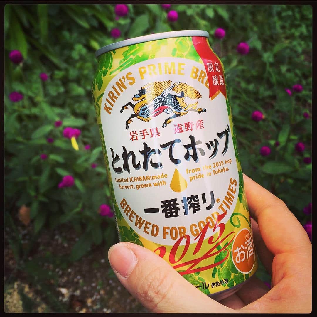 キリン一番搾り生ビールさんのインスタグラム写真 - (キリン一番搾り生ビールInstagram)「#まいにちとれたて  今しか飲めない「一番搾り とれたてホップ生ビール」が今年も登場！ 「撮れたて写真投稿キャンペーン」  Twitter又はInstagramで「@ichiban_cp」をフォローして、 「一番搾り とれたてホップ生ビール」を楽しむ姿をハッシュタグ[#まいにちとれたて]をつけて投稿しよう。  抽選で30名様に、キリンクリアファイル・ホップを含む一番搾り文具一式（5点）と、一番搾り350ml 6缶パックをセットでプレゼント！  キャンペーン期間 2015年10月27日（火）～11月30日（月）24:00 https://kanpaiforhappiness.com/happyshare/toretatehop/」10月26日 16時04分 - ichiban_cp