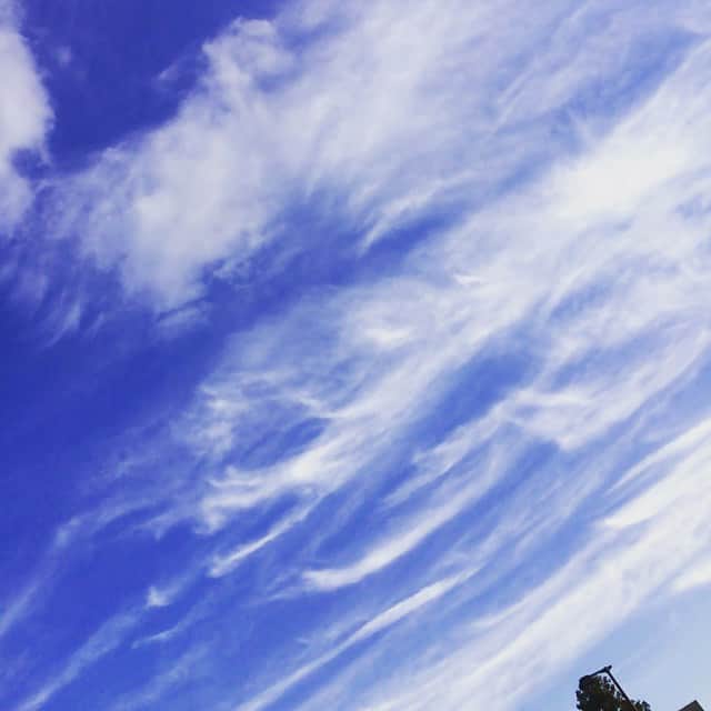 福田典子さんのインスタグラム写真 - (福田典子Instagram)「秋空やね〜。 さぁ、ロケへ。 また占いますよっ！」10月28日 16時46分 - norikofukuda212