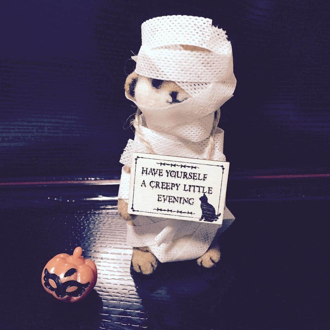 アニマミーア編集部さんのインスタグラム写真 - (アニマミーア編集部Instagram)「#ハッピーハロウィン 🎃👻」10月31日 11時29分 - animamiainfo