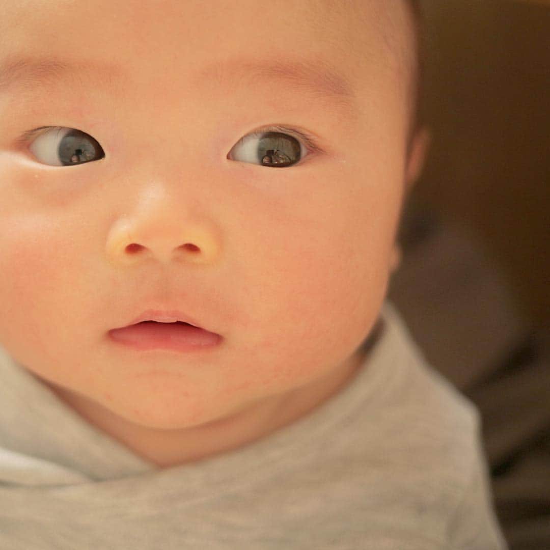 きなこさんのインスタグラム写真 きなこinstagram 日によって二重になったり奥二重になったり 両親とも奥二重だから奥二重になるのかなー 生後98日 0歳 生後3ヶ月 赤ちゃん 男の子 育児 乳児 11月6日 9時59分 Kinako 710