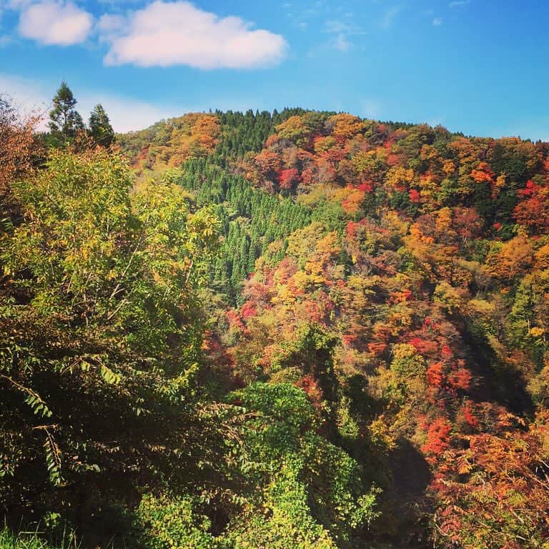 篠原まりあのグルメインスタ