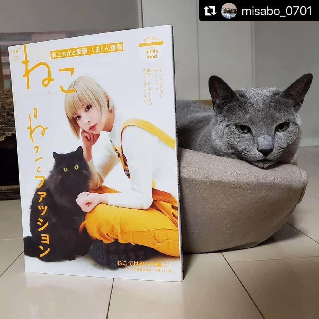 ねこのインスタグラム