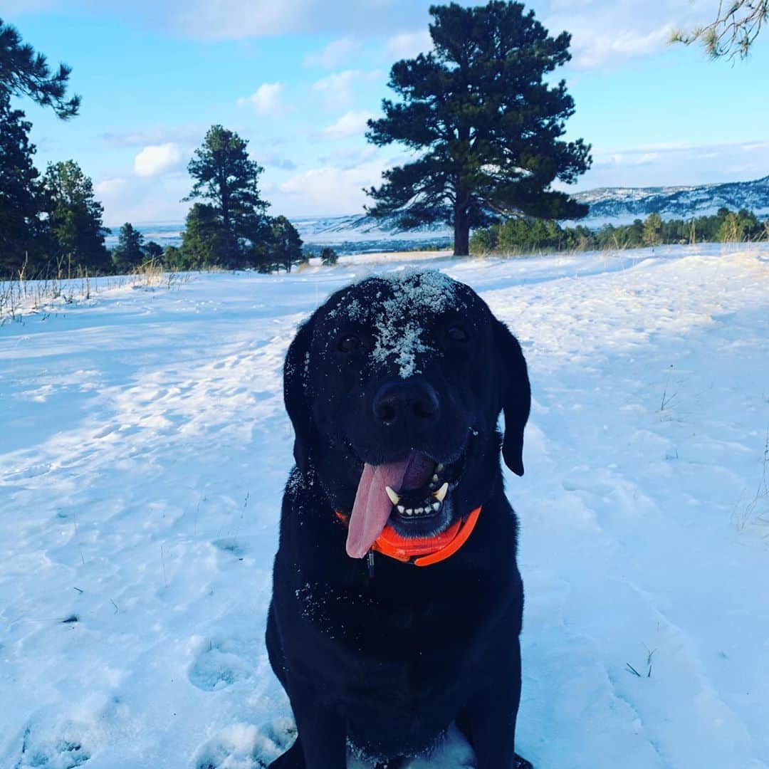 ジェイ・ミルズのインスタグラム：「One positive is more time with my pal. He ain’t afraid」