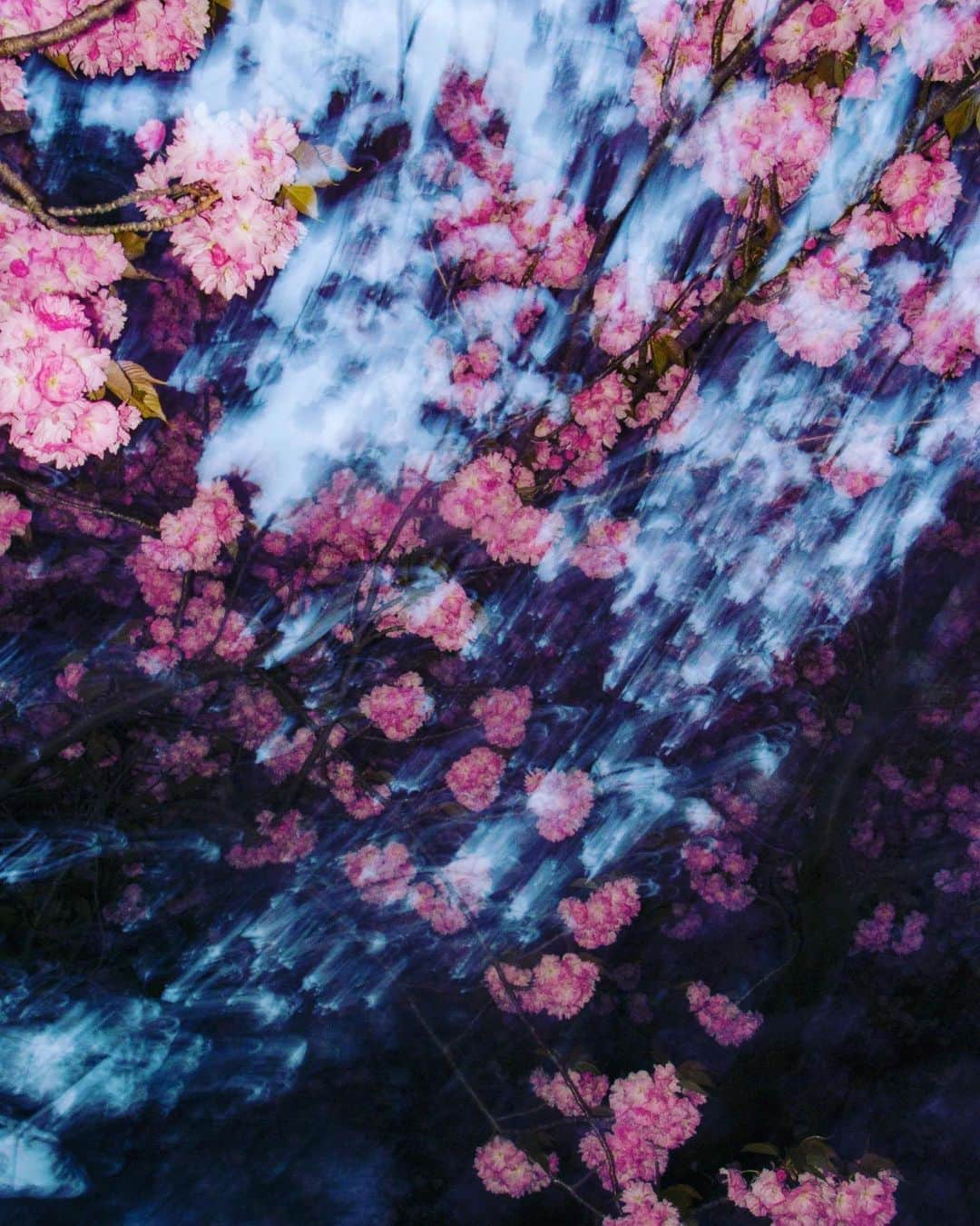 小浪次郎さんのインスタグラム写真 - (小浪次郎Instagram)4月15日 10時56分 - jirokonami