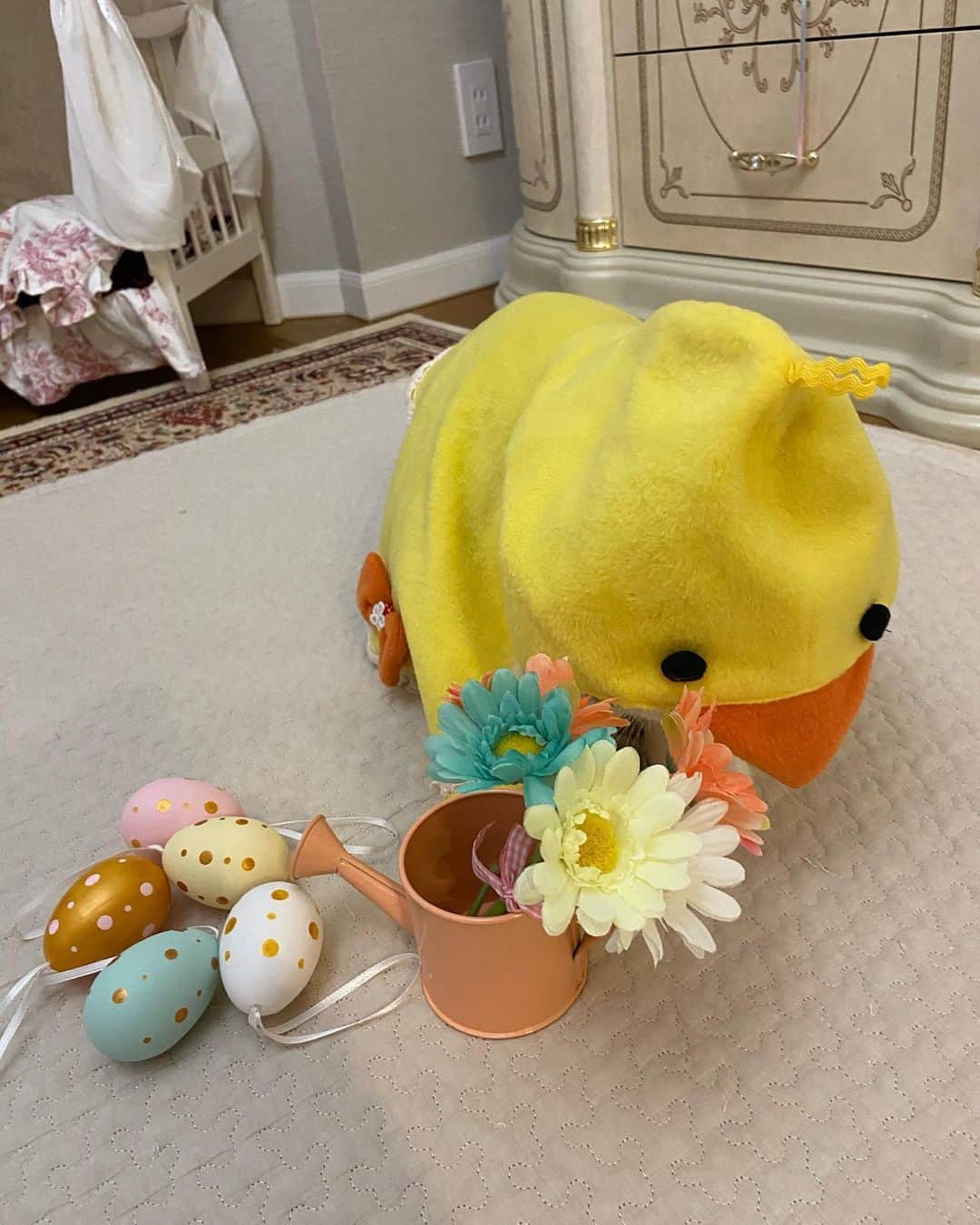 マンチカンのココ王子さんのインスタグラム写真 - (マンチカンのココ王子Instagram)「イースターの写真撮ろうかなぁと思ってたら過ぎちゃった💦 あまり上手く撮ってあげれなかったモカヒヨコさん😅 ピヨピヨ🐣  Late easter😂🐥 #cat#easter#neko#ミヌエット#minuetcat#ミヌエット長毛」4月15日 2時12分 - cocolog_cat