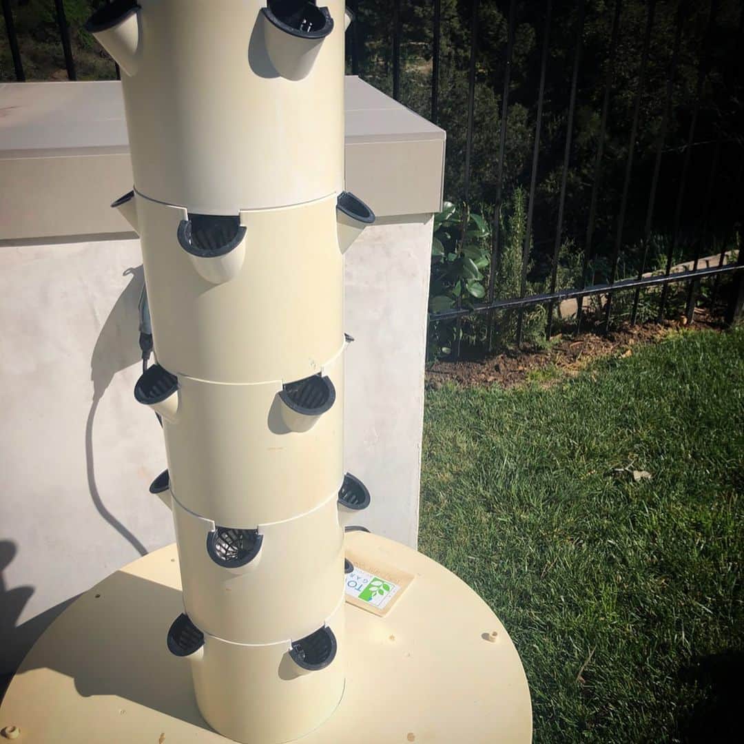 ジェニー・ガースさんのインスタグラム写真 - (ジェニー・ガースInstagram)「My little lettuce babies are all grown up🥬  When i was a little girl growing up on a farm in Illinois we had an amazing garden. I remember helping my mom... planting, weeding and harvesting. She loved gardening and still does what she can. She grows gorgeous roses!  I use a hydroponic system (just uses water no dirt to grow) and i love the results. No pesticides and no bugs!  It makes me proud to grow food for my family and it just tastes so good!  I think i have a #greenthumb  of my own thanks to what my parents taught me. #passitdown #parenting #garden #hobby #hydroponics #vegetables」4月15日 4時20分 - jenniegarth