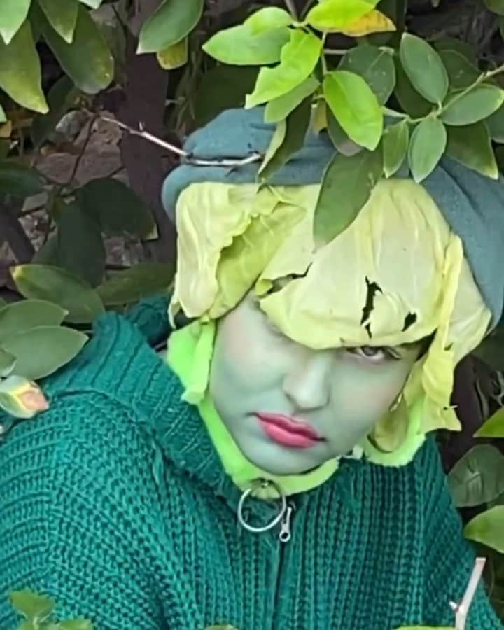 マティー・ノイズのインスタグラム：「so what new skills have you been learning with all this free time in quarantine?  me :  #cabbagechallenge 🥬」