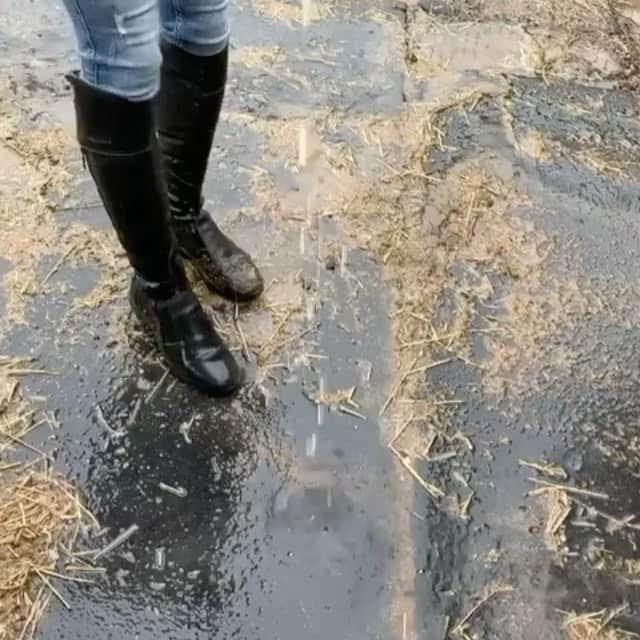 アルベルトファッシャーニのインスタグラム