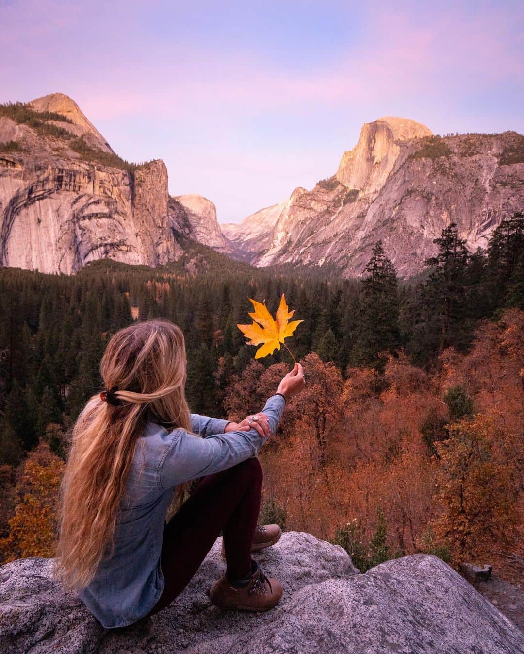 Travis Burkeさんのインスタグラム写真 - (Travis BurkeInstagram)「Winter, Spring, Summer, and Fall in Yosemite! Which is your favorite season to visit or what time of year would be your dream to visit once the park reopens?  I was also glad to hear in recent news that the wildlife here in the park (and around the world) is flourishing during these crazy times. #yosemite #seasons #yosemitenationalpark」4月15日 9時13分 - travisburkephotography