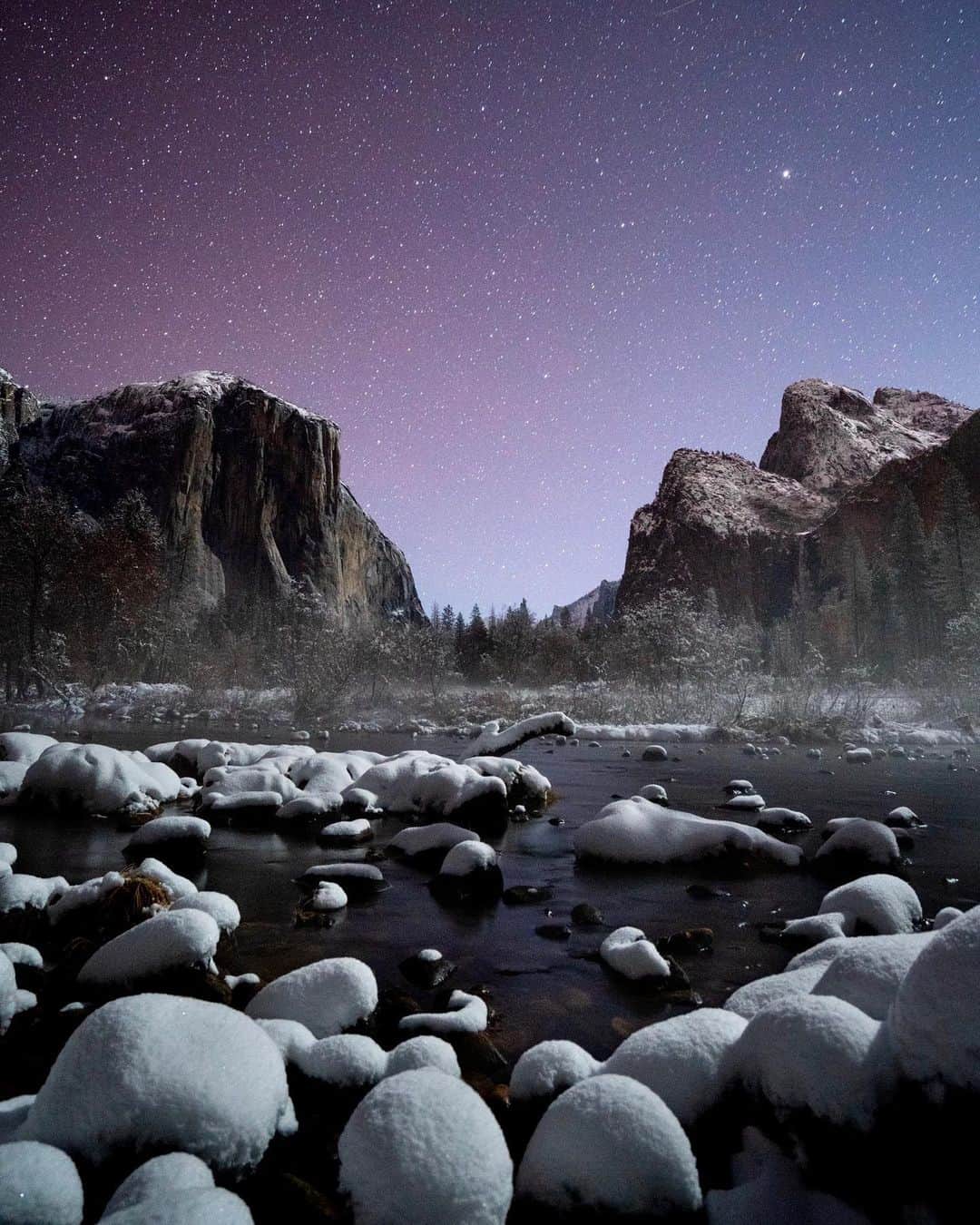 Travis Burkeさんのインスタグラム写真 - (Travis BurkeInstagram)「Winter, Spring, Summer, and Fall in Yosemite! Which is your favorite season to visit or what time of year would be your dream to visit once the park reopens?  I was also glad to hear in recent news that the wildlife here in the park (and around the world) is flourishing during these crazy times. #yosemite #seasons #yosemitenationalpark」4月15日 9時13分 - travisburkephotography