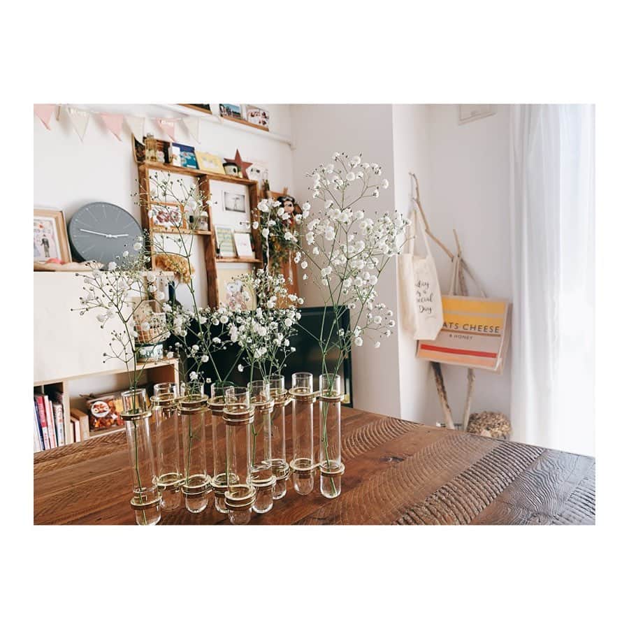 庄村奈津美さんのインスタグラム写真 - (庄村奈津美Instagram)「🌸 今年の鹿児島のサクラ。 久しぶりにお花を見て元気出て、 おうち時間を花で楽しむ💚 ・ 花屋で目に留まった#かすみ草  花を変えて気分を変えてみる🧚‍♀️ ・ #ビーカー型の花瓶 #街のお花屋さん で購入 #都通り近く #花のある生活」4月15日 9時16分 - shomura_723