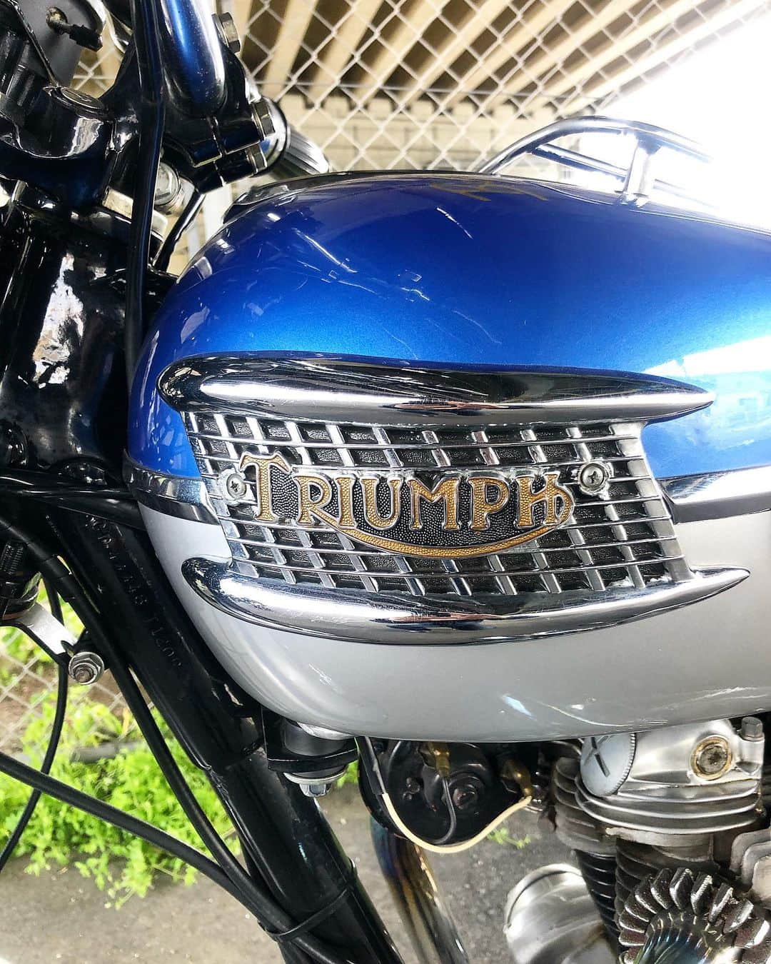KIYOさんのインスタグラム写真 - (KIYOInstagram)「天気がいいからボニーでお出かけ。#mytriumphpic  #triumph #t120 #bonneville #bonnie #britbike #britishmotorcycles #classicmotorcycles #lewisleathers #madeinengland #rockers  #caferacer #tonupboys #triumphmotorcycles #vintagetriumph #manga #japanesecomic #love #instagood #cute #fashion #バイクメーン #ボニー #トライアンフ #ボンネビル #ロッカーズ #カフェレーサー #ルイスレザー」4月11日 13時48分 - kiriko009