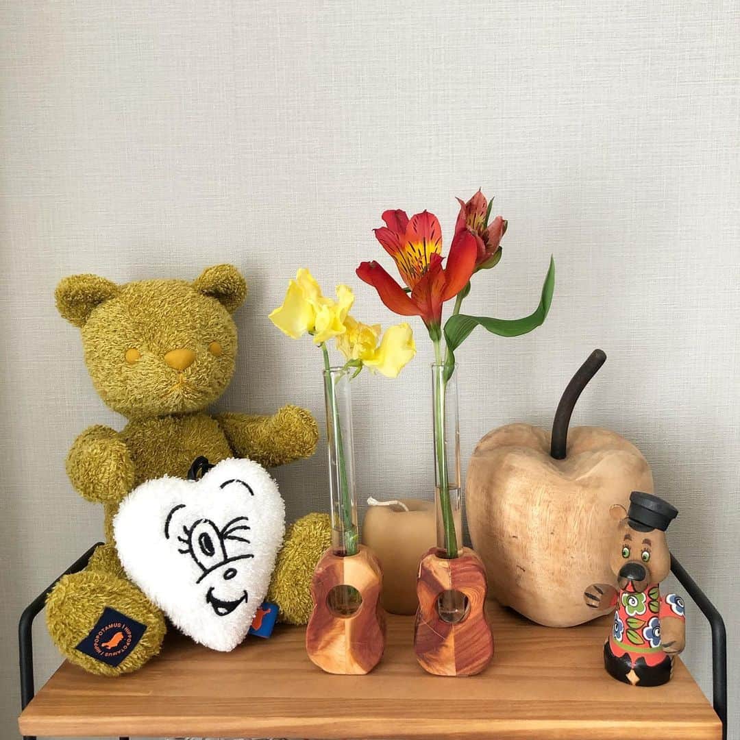 chocomooのインスタグラム：「🎸💛🎸 #ChocomooLoves🌳🌵🌿🌼 #STAYHOME」
